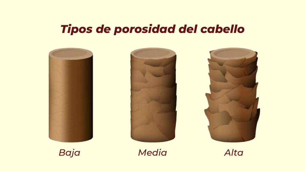 porosidad, antiporosidad, porosidad alta, cabello dañado, cabello decolorado